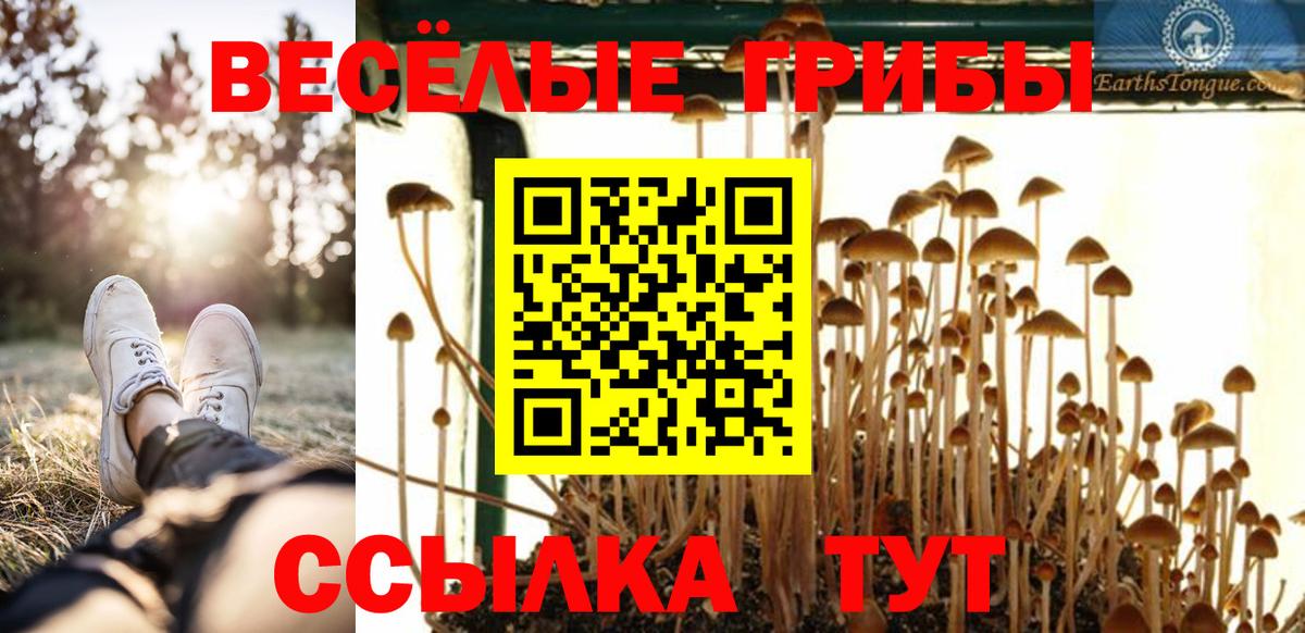 Галлюциногенные грибы прущие грибы Солнечногорск
