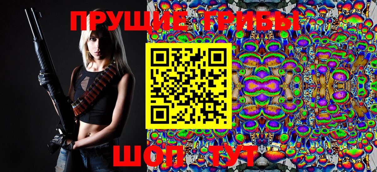 Солнечногорск  Псилоцибиновые грибы MAGIC MUSHROOMS  Вход с VPN 